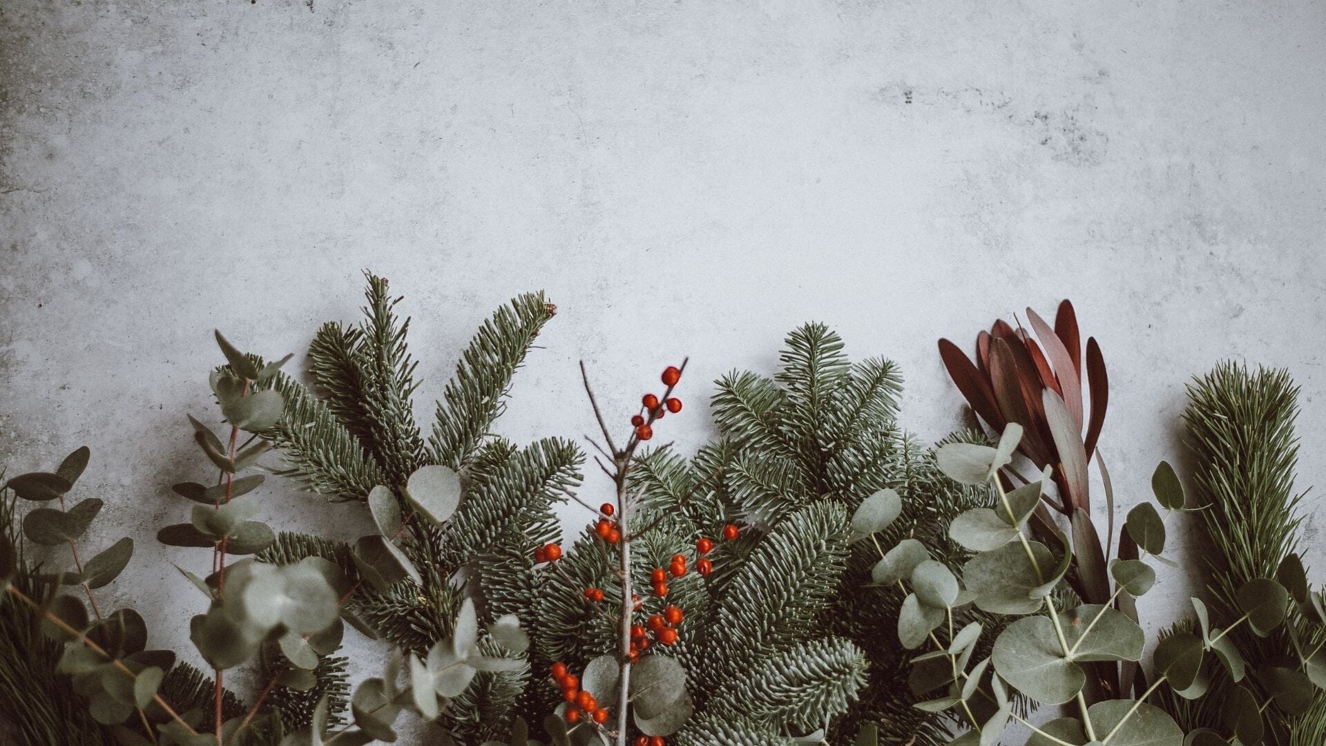 Como viver o Natal de forma serena e em harmonia