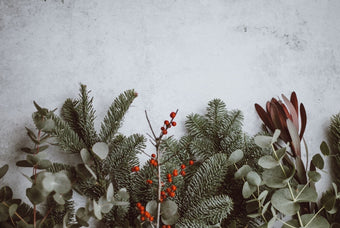 Como viver o Natal de forma serena e em harmonia