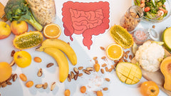 LIGAÇÃO ENTRE A FLORA INTESTINAL, O CÉREBRO E O SISTEMA IMUNITÁRIO