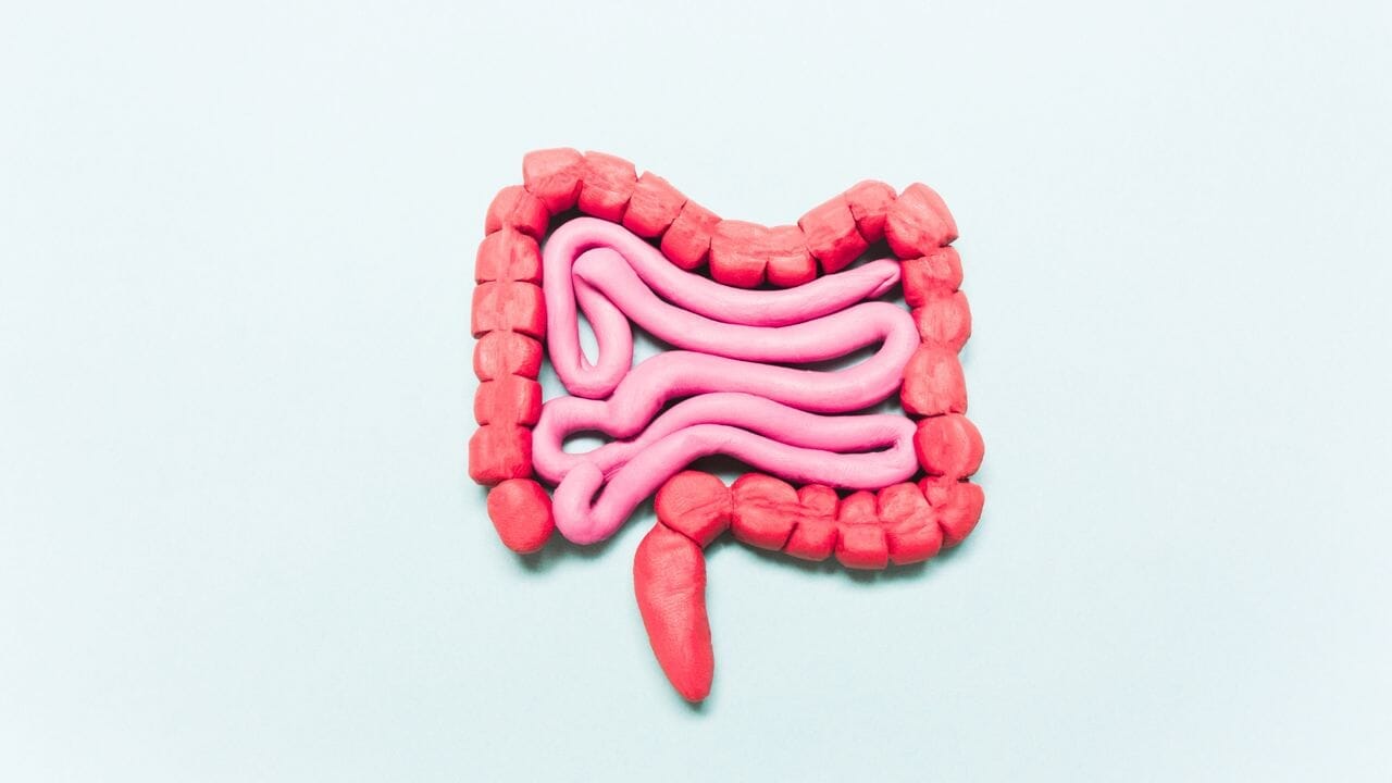 Como equilibrar ou restaurar naturalmente a flora intestinal