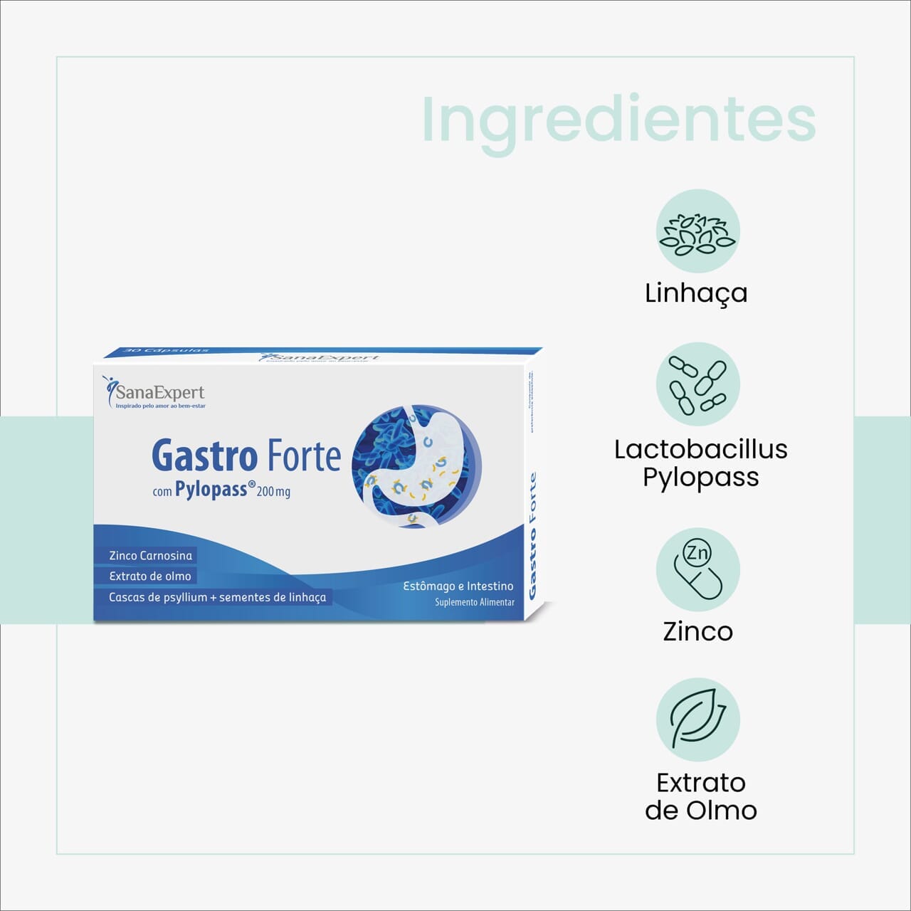 Pack Gravidez